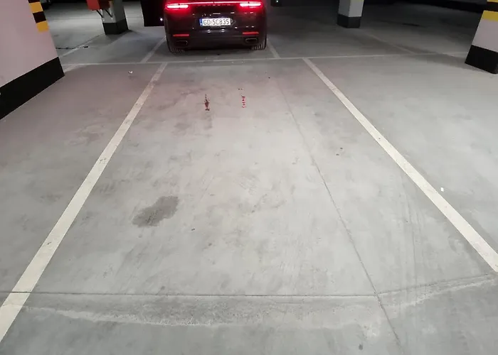 Giraffe Glamour Danzig